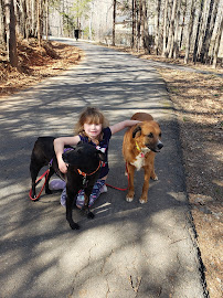 Re-Treat4Dogs - Photo 1 - Car repair in Fort Mill, SC, Rock Hill