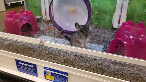 Pet Supply Store «PetSmart», reviews and photos, 9589 Ridgetop Blvd NW, Silverdale, WA 98383, USA