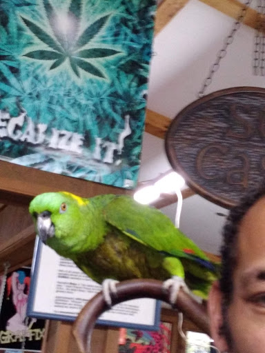 Boutique «Su Casa Boutique», reviews and photos, 1041 N Cedar St, Lansing, MI 48906, USA