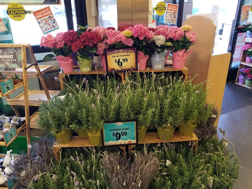 Health Food Store «Sprouts Farmers Market», reviews and photos, 225 E 17th St, Costa Mesa, CA 92627, USA