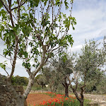 Photo n°13 de l'avis de Christine.p fait le 22/04/2024 à 22:35 sur le  Le Stanzie à Supersano