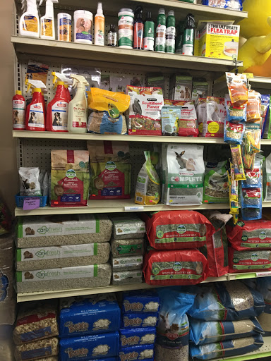 Pet Supply Store «Pet Headquarters», reviews and photos, 501 E Main St B, Palmyra, PA 17078, USA