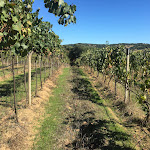 Photo n°17 de l'avis de Nicola.a fait le 16/10/2022 à 12:49 sur le  Locanda Murales à Olbia