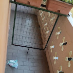 Photo n°4 de l'avis de Jan.a fait le 25/08/2017 à 12:20 sur le  Hotel Vittoria à Genoa