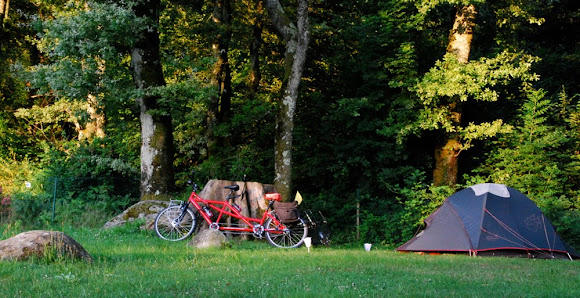 Imagen de la galería