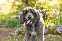 Tara Lynn & Co. Photography - Photo 7 - Car repair in Cary, NC, Cary