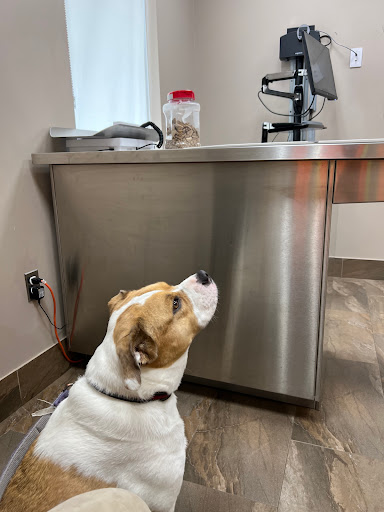 West Carleton Animal Hospital image