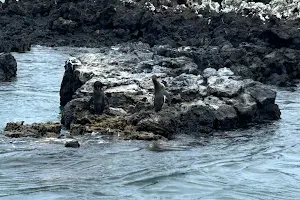 Guiding Galapagos Expeditions image