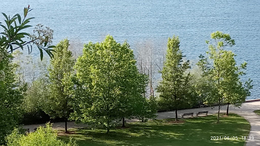 Monument «Winged Victory Monument», reviews and photos, 302 Sid Snyder Ave SW, Olympia, WA 98501, USA