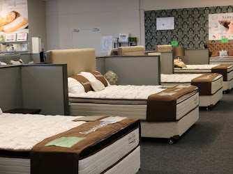 New Zealand Bed Company Hamilton