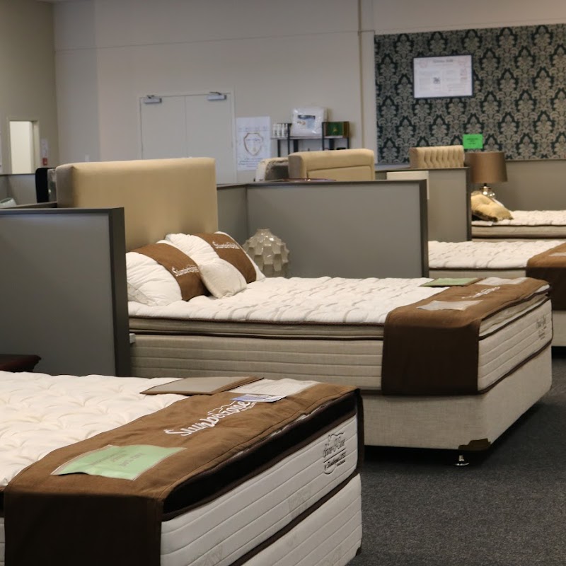 New Zealand Bed Company Hamilton