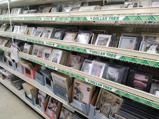 Dollar Store «Dollar Tree», reviews and photos, 313 S Main St, Brownstown, IN 47220, USA