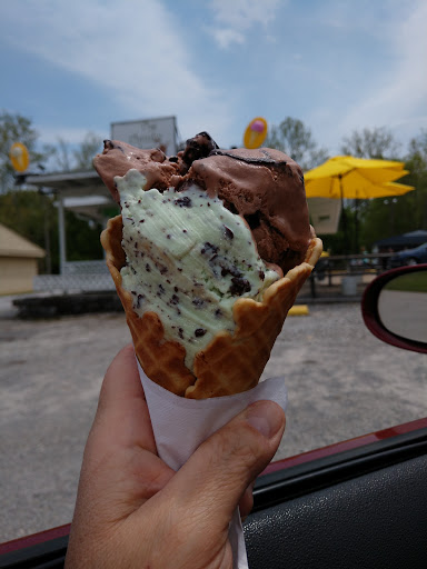 Ice Cream Shop «Chunky Monkey Ice Cream Shop», reviews and photos, 139 Little Senator Cir, Clinton, TN 37716, USA