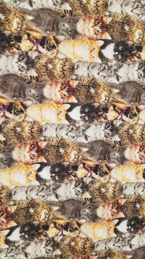 Fabric Store «Jo-Ann Fabrics and Crafts», reviews and photos, 1302 Washington St, Hanover, MA 02339, USA