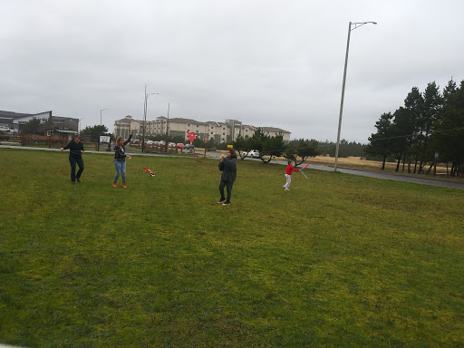 Museum «World Kite Museum & Hall-Fame», reviews and photos, 303 Sid Snyder Dr, Long Beach, WA 98631, USA