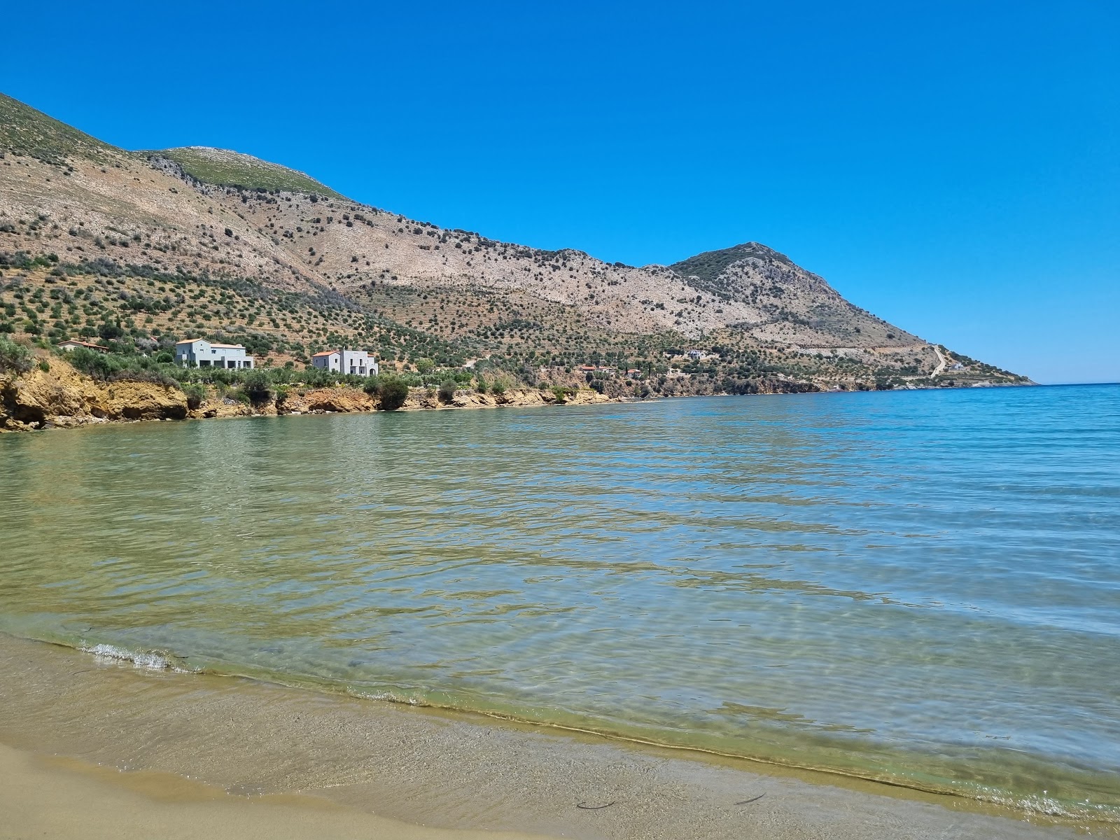 Paralia Kotrona'in fotoğrafı imkanlar alanı