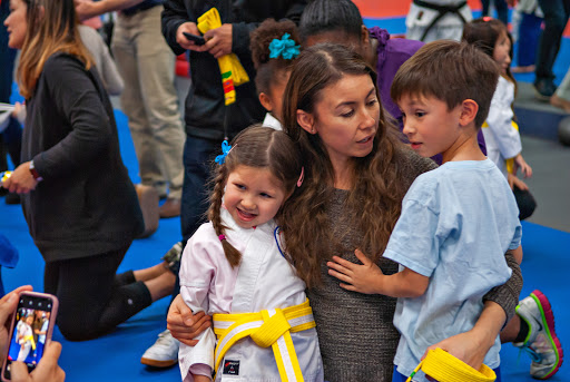 American Martial Arts Academy image