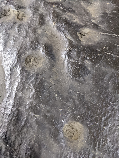 Car Racing Track «Eldora Speedway», reviews and photos, 13929 OH-118, New Weston, OH 45348, USA