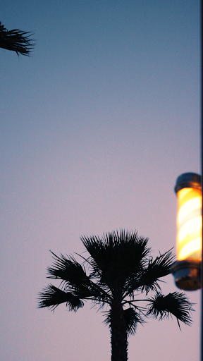 Barber Shop «2% Barbershop», reviews and photos, 7908 Monet Ave, Rancho Cucamonga, CA 91739, USA