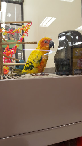 Pet Supply Store «Petco Animal Supplies», reviews and photos, 4950 S 76th St, Greenfield, WI 53220, USA