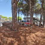 Photo n°4 de l'avis de Ruben.a fait le 07/09/2022 à 09:39 sur le  Capo est à Siniscola