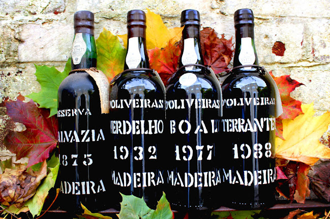 madeirawine.ch