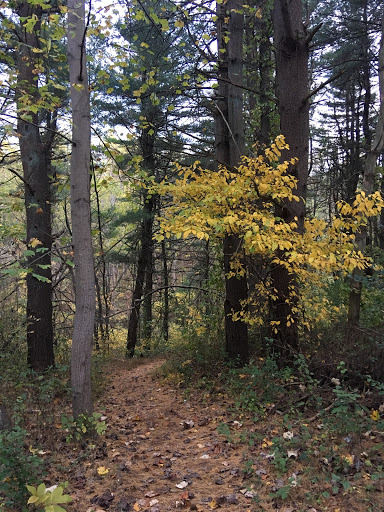 Nature Preserve «Ashland Nature Center of Delaware Nature Society», reviews and photos, 3511 Barley Mill Rd, Hockessin, DE 19707, USA