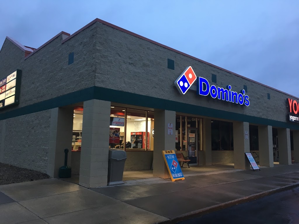 Domino's Pizza 55441