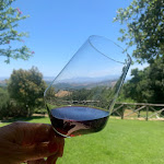 Photo n°3 de l'avis de maria.h fait le 09/07/2022 à 06:27 sur le  Agriturismo Podere L' Aione - Ristorante Tipico con Vista Panoramica sul Mare à Scansano