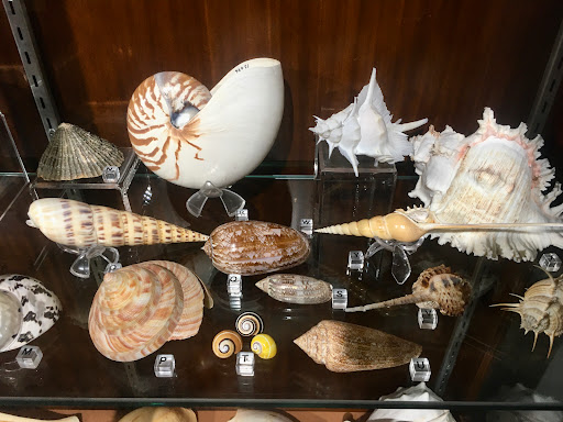 Museum «University of South Carolina :McKissick Museum», reviews and photos, 816 Bull St, Columbia, SC 29208, USA