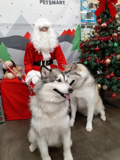 Pet Supply Store «PetSmart», reviews and photos, 5485 Touhy Ave, Skokie, IL 60077, USA