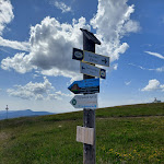 Photo n°8 de l'avis de Martina.r fait le 20/08/2023 à 09:11 sur le  Berggasthof & Pension to Todtnauer Cottage à Feldberg