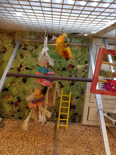 Pet Supply Store «PetSmart», reviews and photos, 2449 Laurens Rd, Greenville, SC 29607, USA