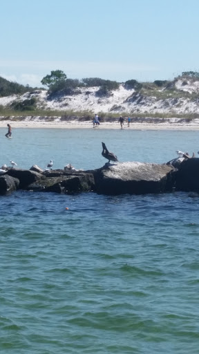 Tourist Attraction «Shell Island Beach», reviews and photos, 4607 State Park Ln, Panama City, FL 32408, USA