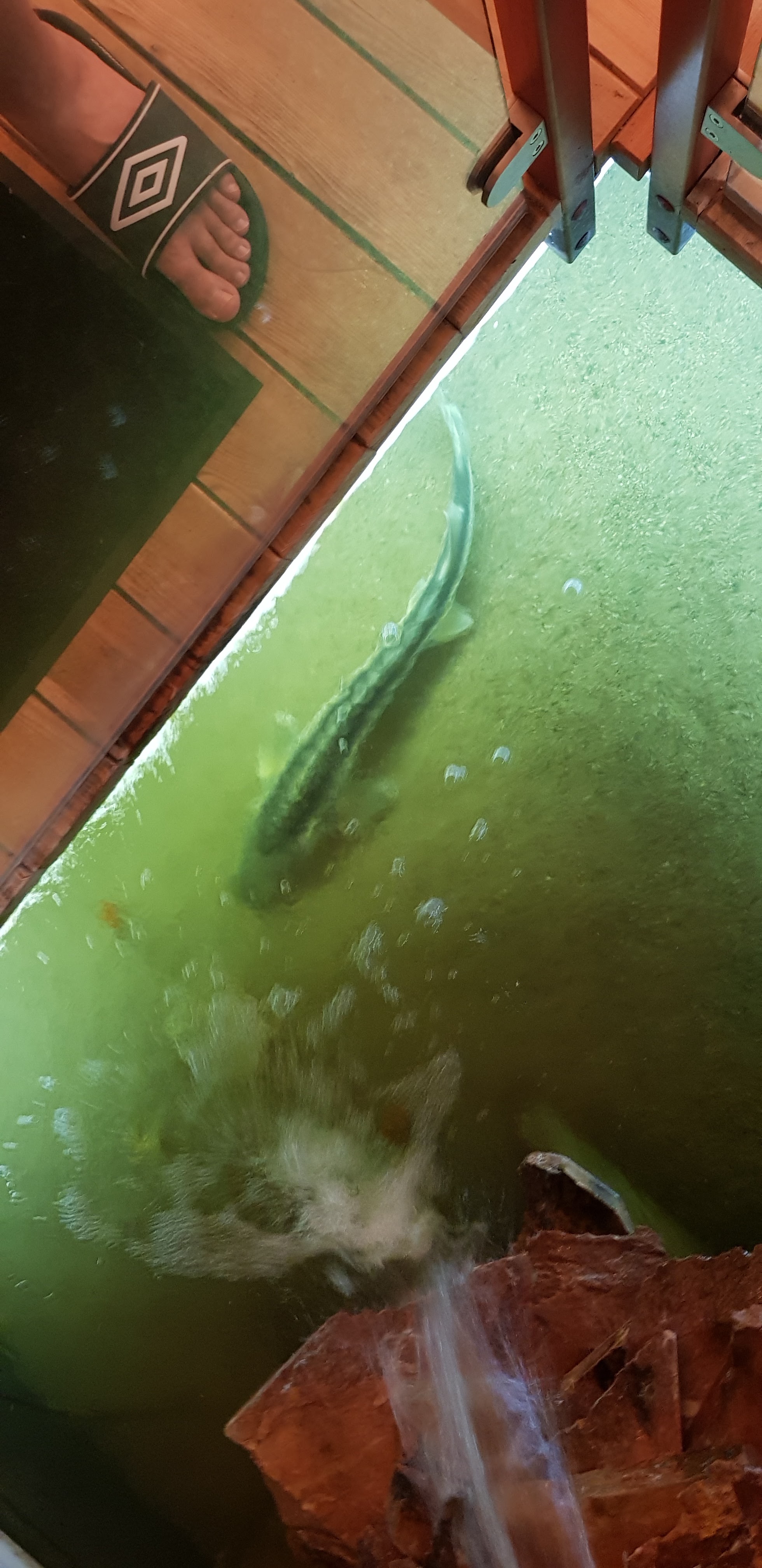 Photo n° 3 de l'avis de Idées.l fait le 18/05/2019 à 19:36