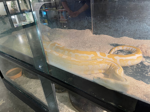 Pet Store «Miles of Exotics», reviews and photos, 8350 N Broadway, Kansas City, MO 64118, USA