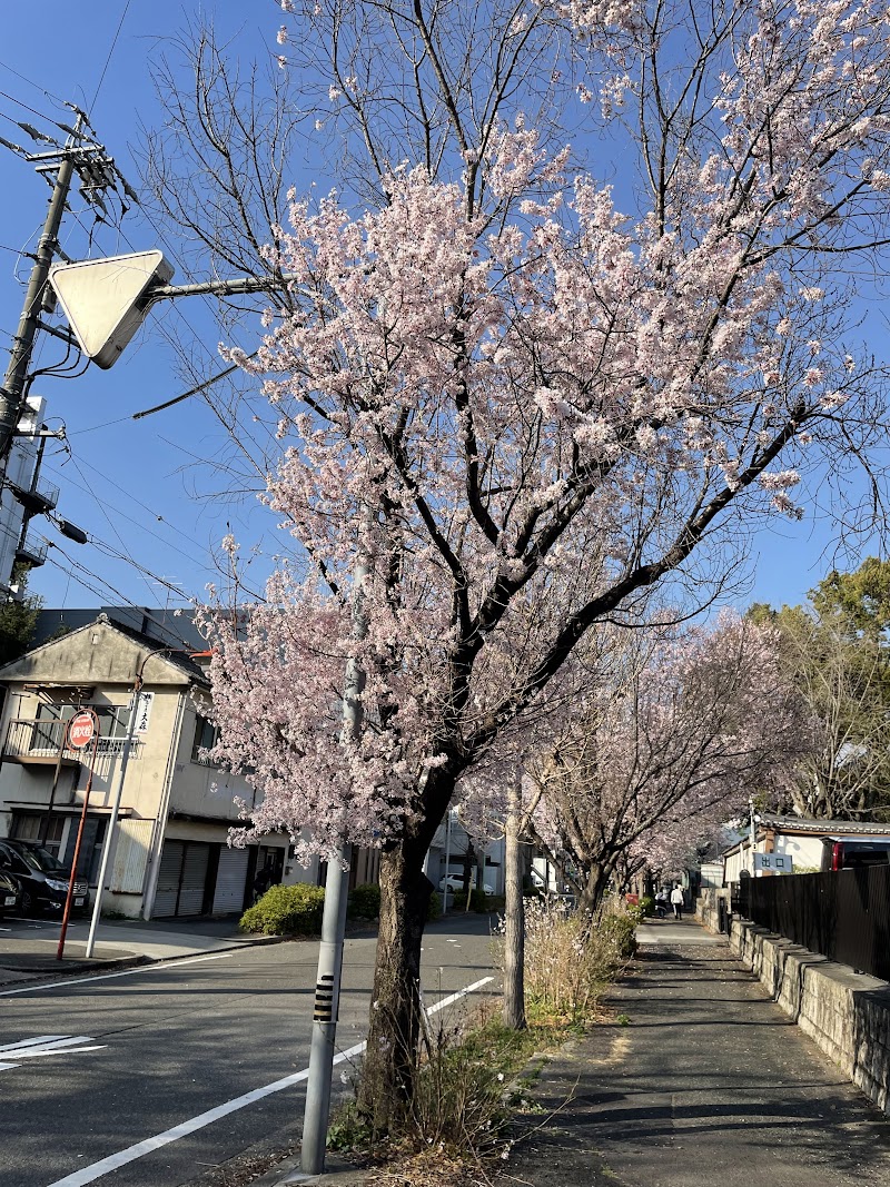 旅館丸為