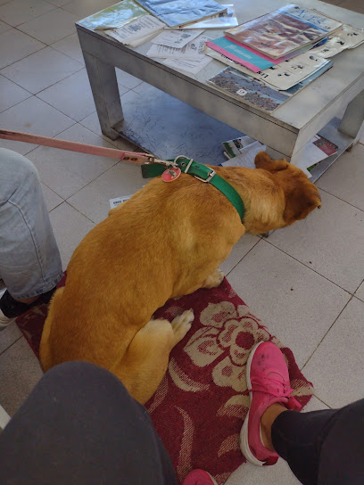 Veterinaria SalemVet en Lanús