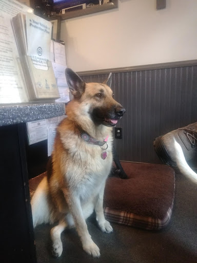 Used Car Dealer «Bonalle Auto Sales and Repair», reviews and photos, 501 E Penn Ave, Cleona, PA 17042, USA