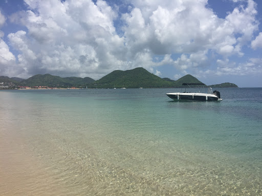 Travel Agency «Alpha World Travel Honeymoons and Destination Weddings», reviews and photos, 107 Edinburgh S Dr #114, Cary, NC 27511, USA