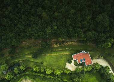 Termas Da Moimenta