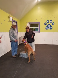 Harmonious Hounds, LLC - Photo 7 - Car repair in , New Bedford