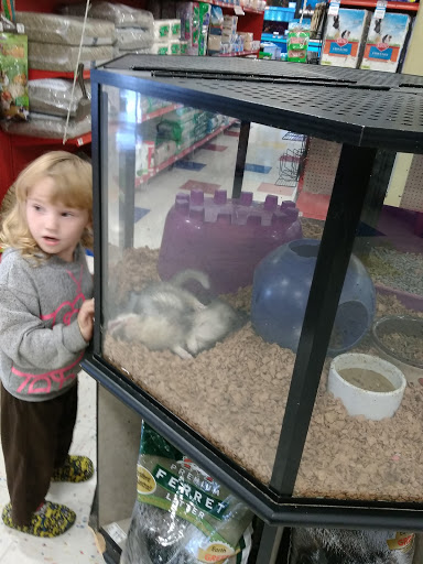 Pet Supply Store «Petco Animal Supplies», reviews and photos, 325 Paul Huff Parkway, Cleveland, TN 37312, USA