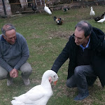 Photo n°1 de l'avis de Patrizia.a fait le 25/11/2018 à 16:54 sur le  Agriturismo Cascina Venesia à Mezzanino