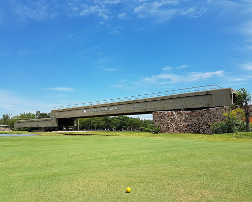 Paraguayan Association of Golf APG