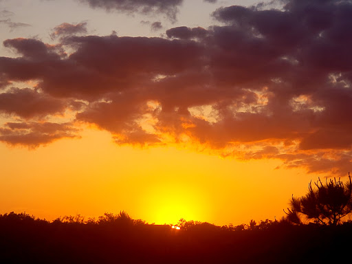 Nature Preserve «Perico Preserve», reviews and photos, 11700 Manatee Ave W, Bradenton, FL 34209, USA