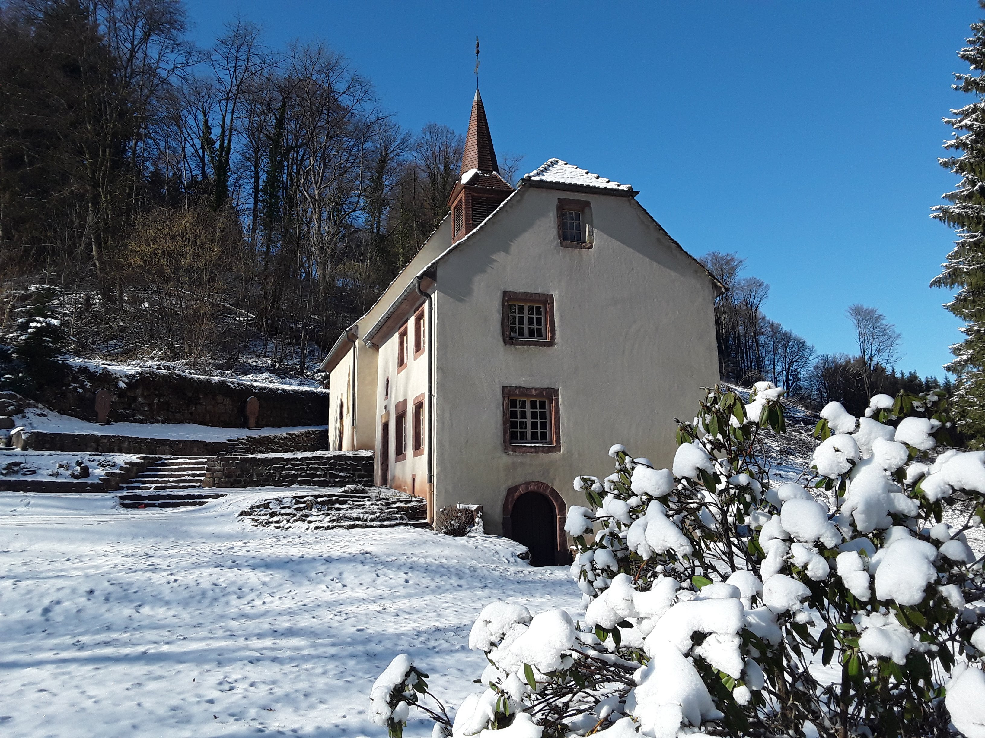 Photo n° 1 de l'avis de Jean-Claude.L fait le 13/02/2021 à 18:25