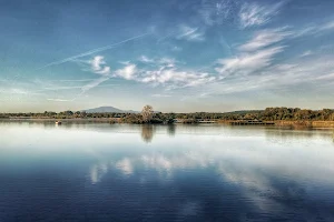 Oasi wwf lago di Alviano image
