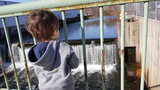 Hardware Store «Robinsons Hardware», reviews and photos, 31 Washington St, Hudson, MA 01749, USA