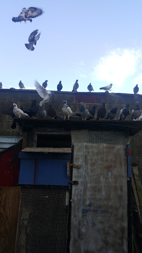 Animal Feed Store «Out Front Farm Pet Supply», reviews and photos, 179 Main St, Monroe, CT 06468, USA